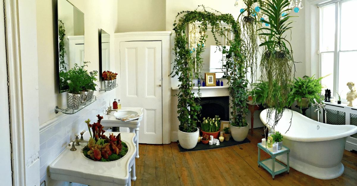 33 Best Plants For Your Bathroom To Add A Spa Like Feel 11zon