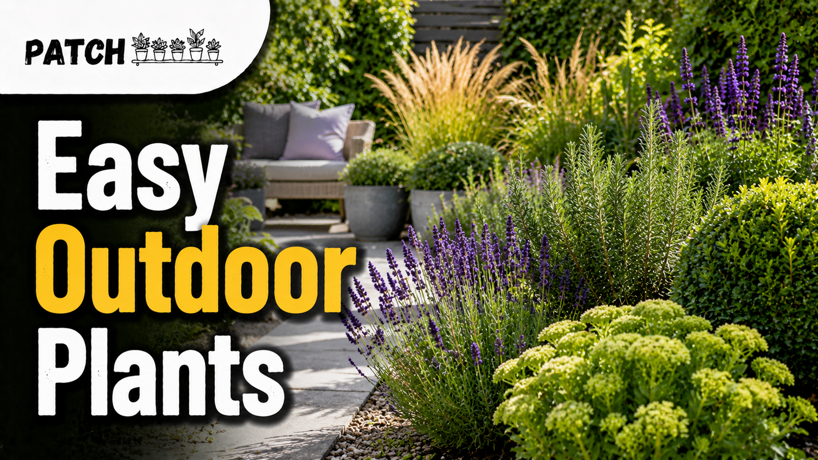 Low Maintenance Outdoor Plants