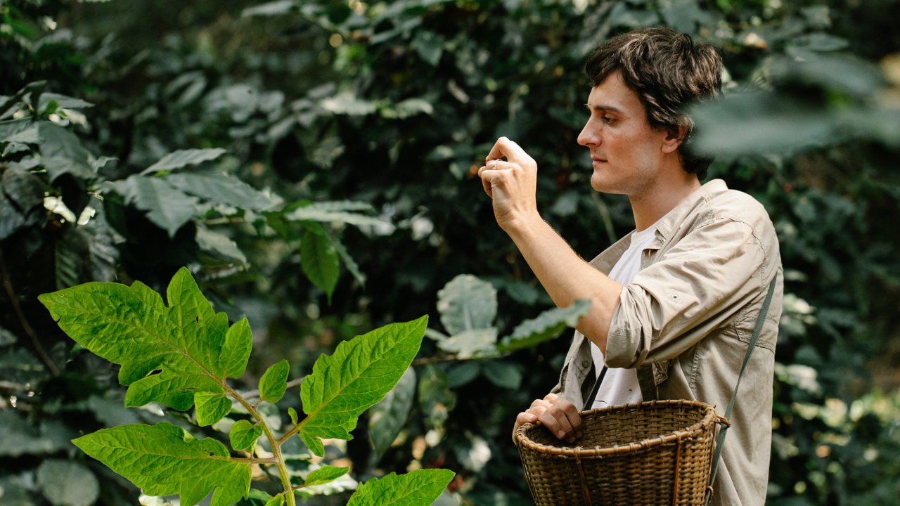 6 Ways To Create A Scandi Home With Plants 1