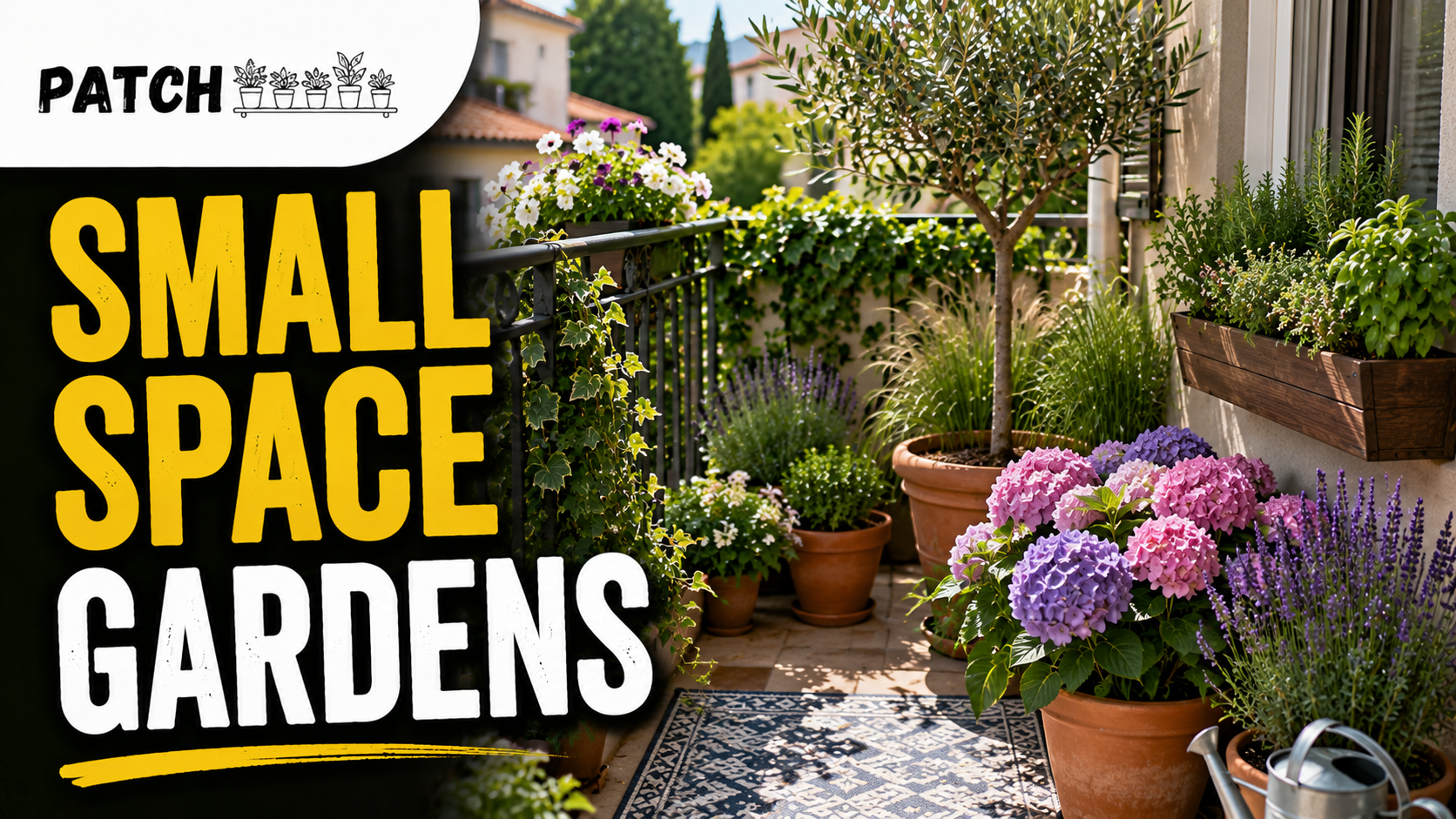 Best Plants for Small Outdoor Spaces