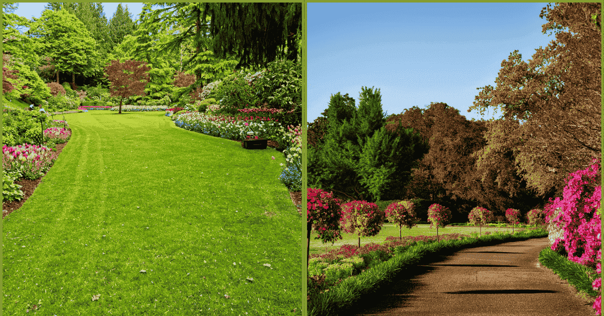 How To Keep Pests Away From Outdoor Plants