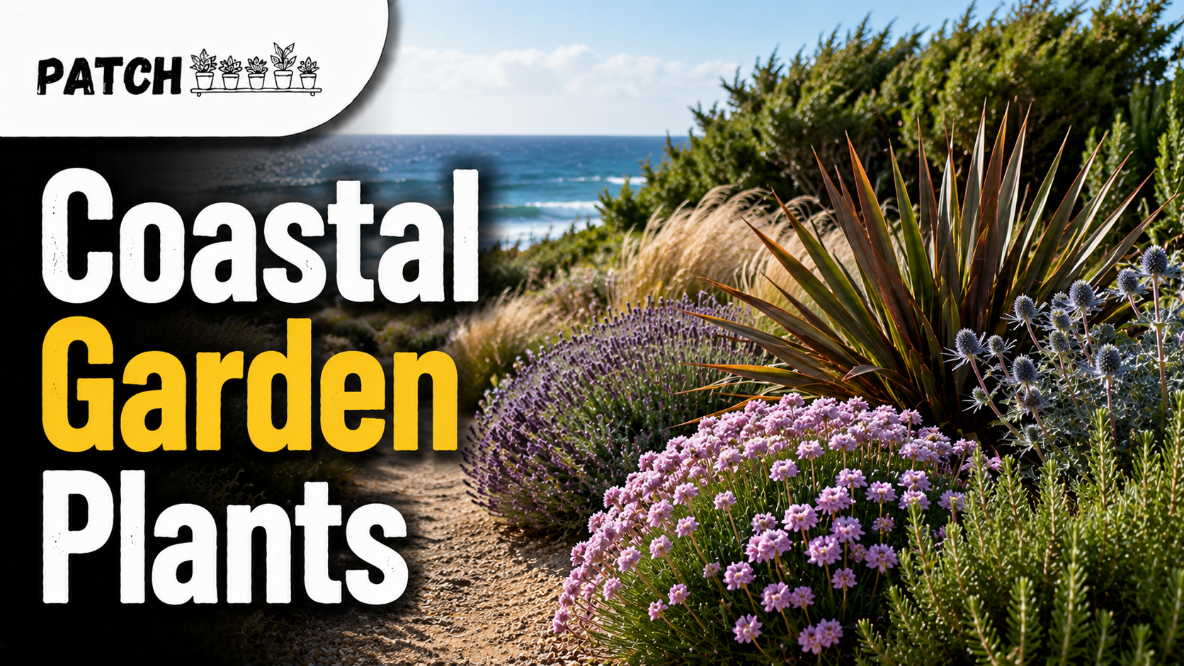 Coastal garden plants and coastal breeze