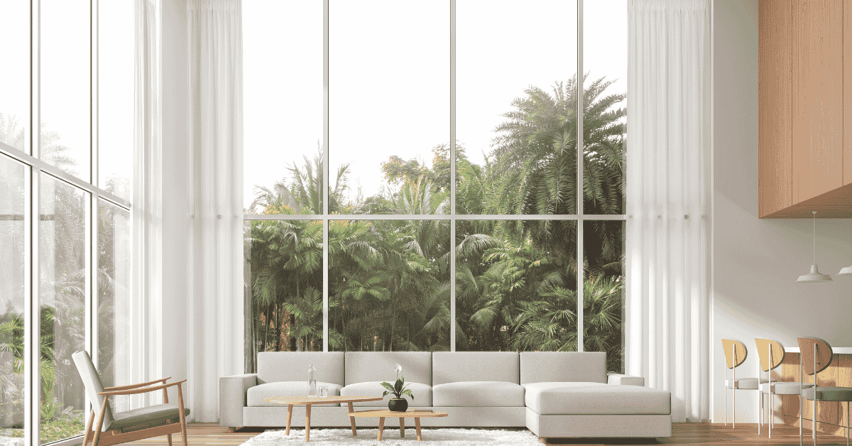 Best Statement Plants For Minimalist Interiors