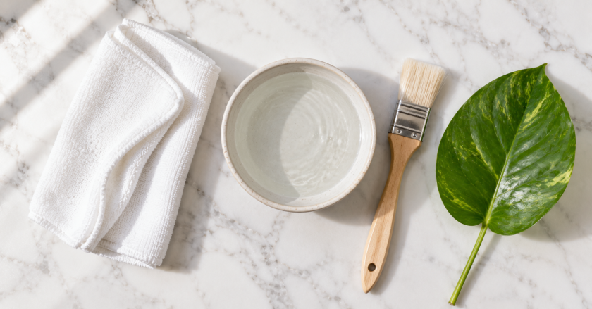 How to Clean Plant Leaves: The Complete Guide to Dust-Free, Shiny Foliage 2 Minimalist still life with cleaning tools