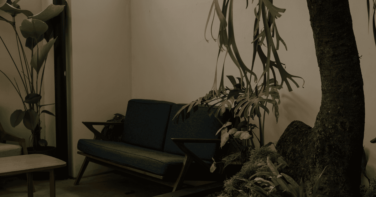 Colorful Foliage Indoor Plants That Arent Just Green