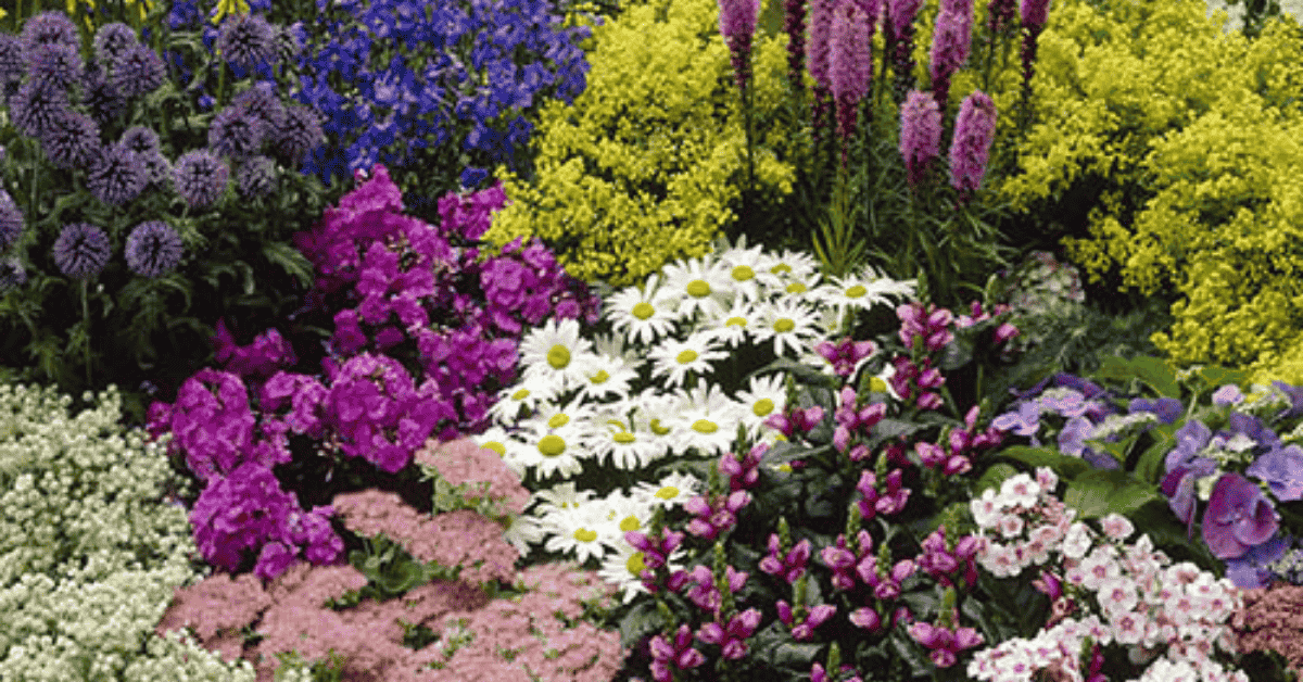Hardy Plants That Can Survive On Minimal Watering