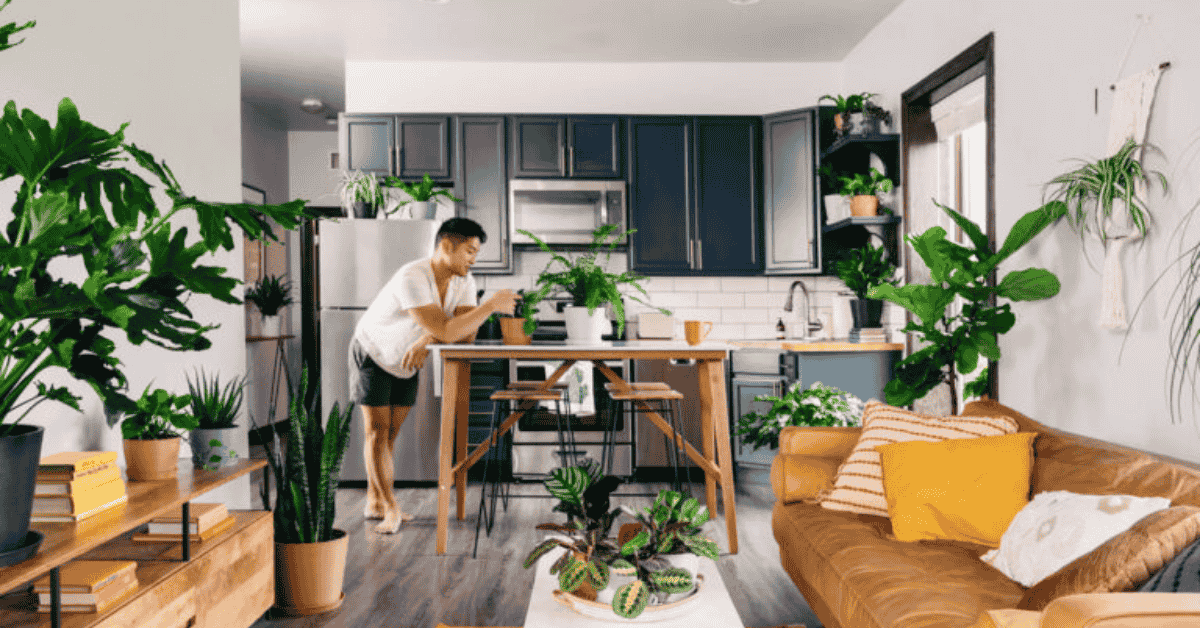 The Best Indoor Plants For Tiny Apartments In 2025