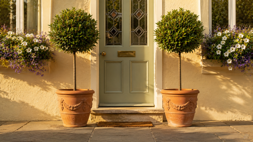 Best Plants for Front Porch Pots