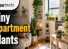 Best Indoor Plants for Tiny Apartments: 21 Smart Picks