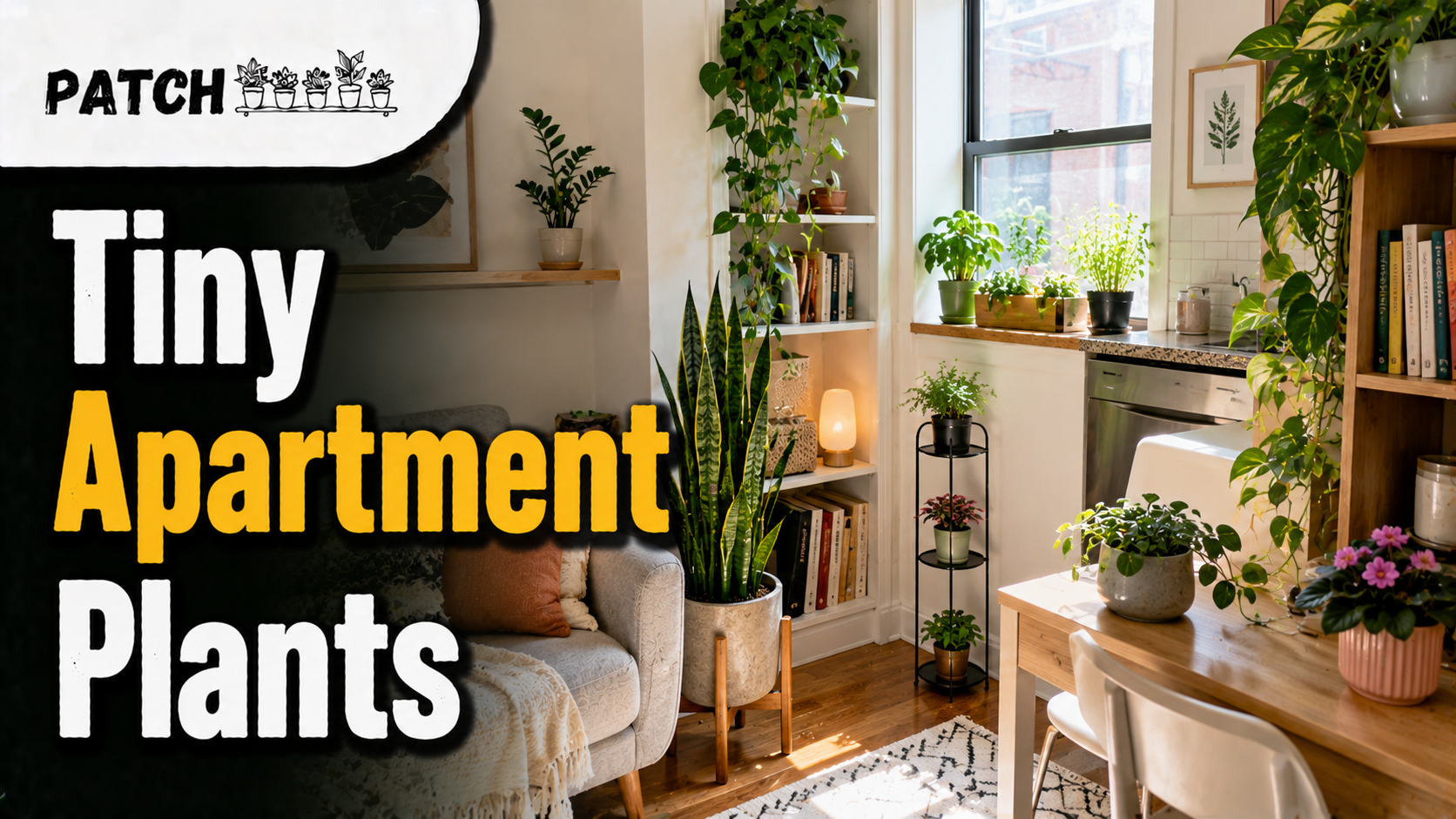 Best Indoor Plants for Tiny Apartments: 21 Smart Picks