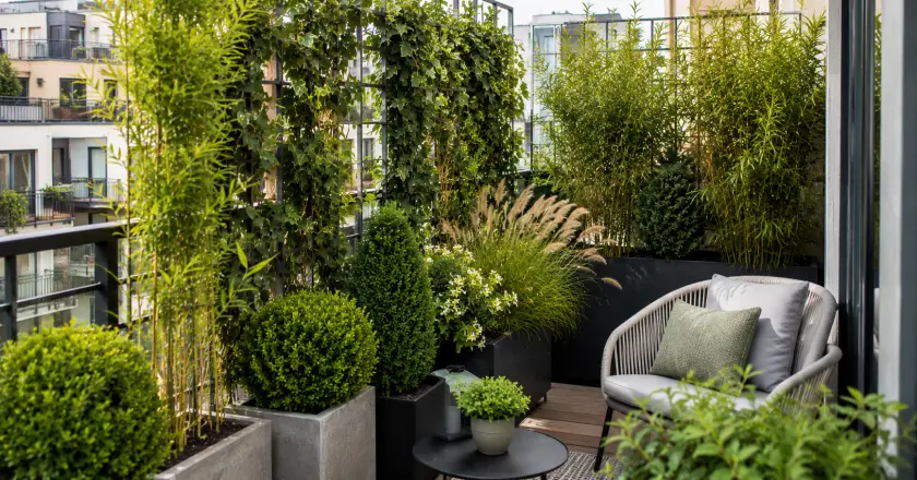 Cozy urban balcony with lush greenery