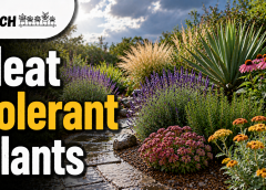 Heat tolerant plants in vibrant garden