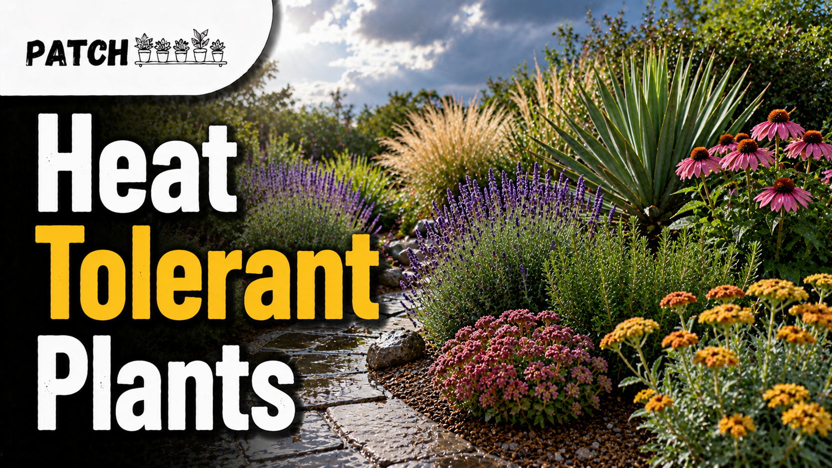 Heat tolerant plants in vibrant garden