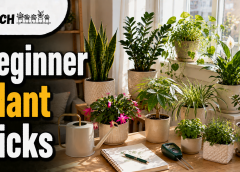 Best Indoor Plants for First-Time Plant Parents: 21 Easy 2026 Picks