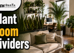 Natural Room Dividers: 17 Best Indoor Plant Ideas
