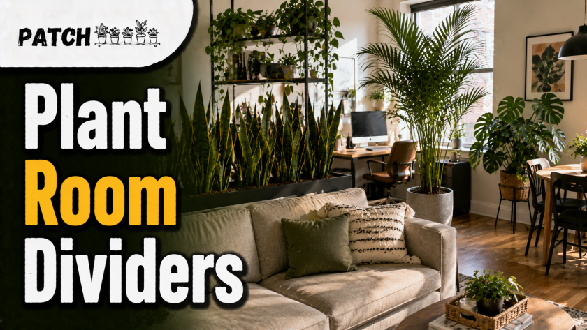 Natural Room Dividers: 17 Best Indoor Plant Ideas 16 Natural Room Dividers: 17 Best Indoor Plant Ideas