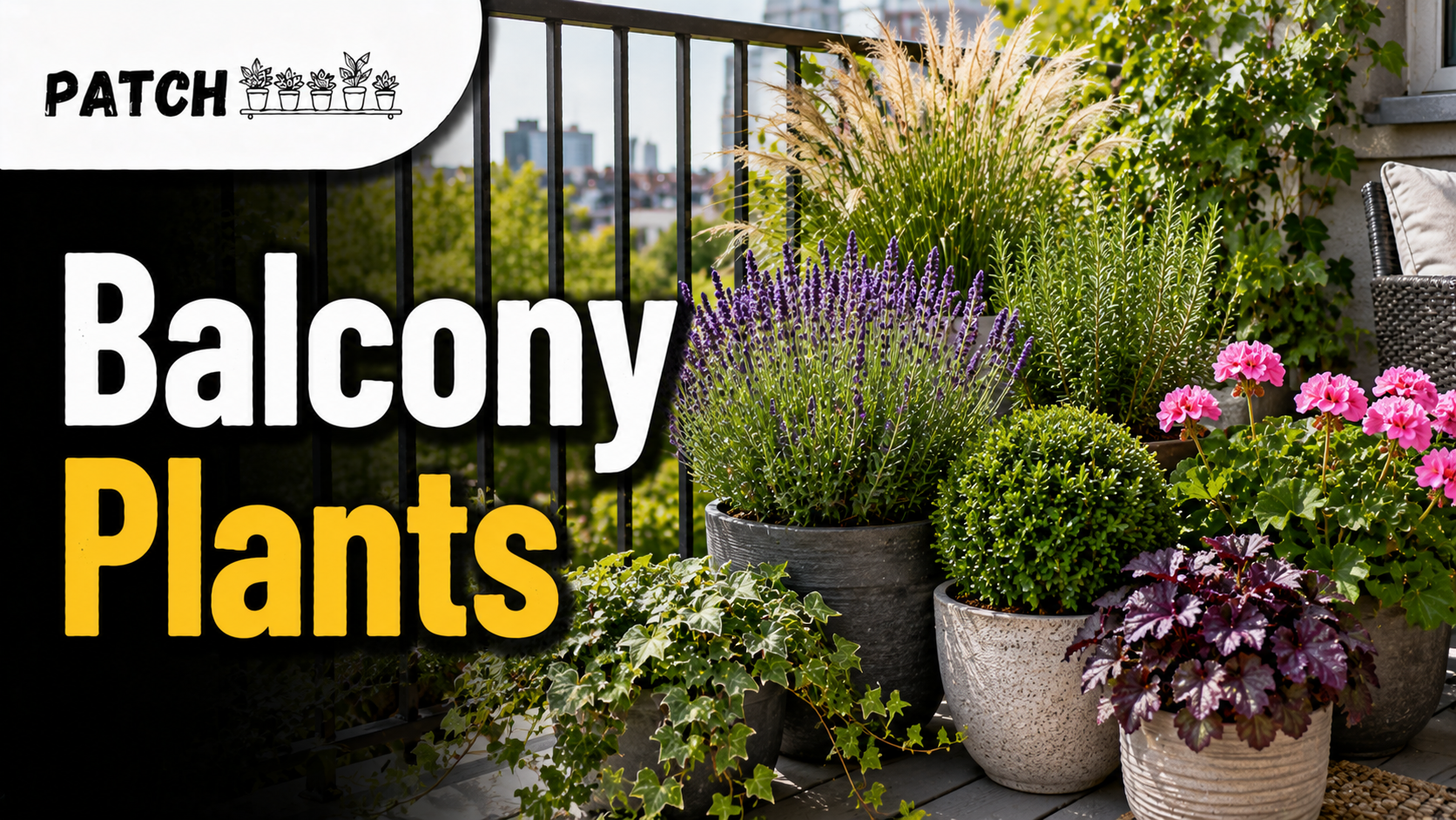 Year Round Balcony Plants