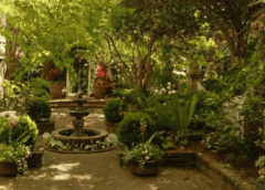 Color Themes For Your Outdoor Garden From Cool Blues To Sunset Shades