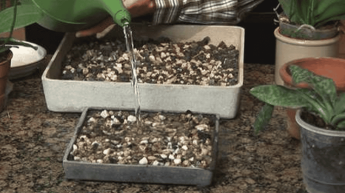 How To Build A Diy Indoor Humidity Tray For Your Plants