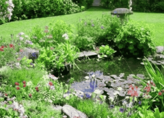 How To Design A Wildlife Friendly Garden Even In Small Yards
