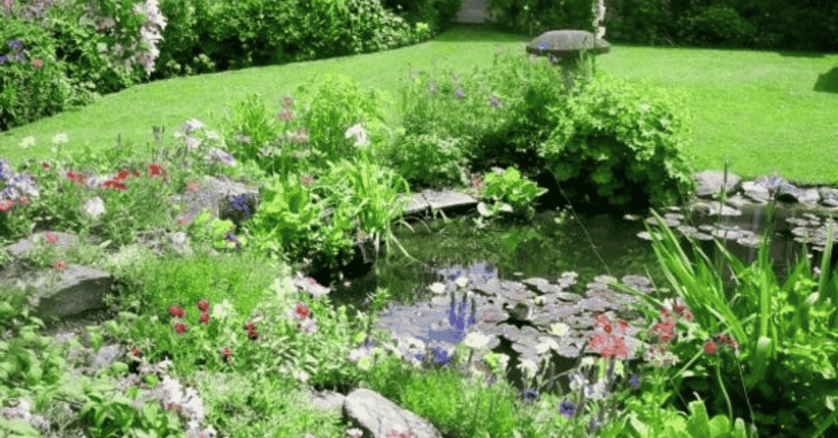 How To Design A Wildlife Friendly Garden Even In Small Yards