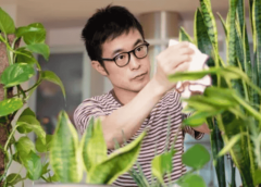 Should You Talk to Your Plants? The Science Behind It