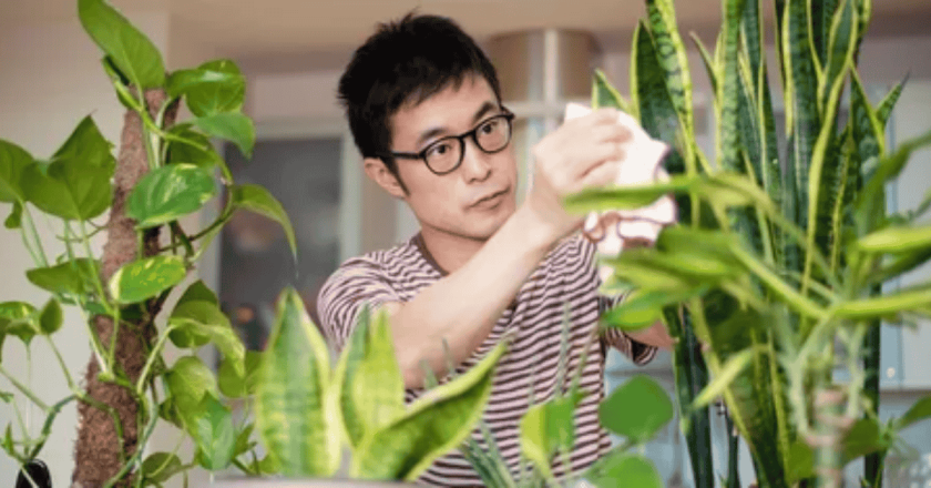 Should You Talk To Your Plants The Science Behind It