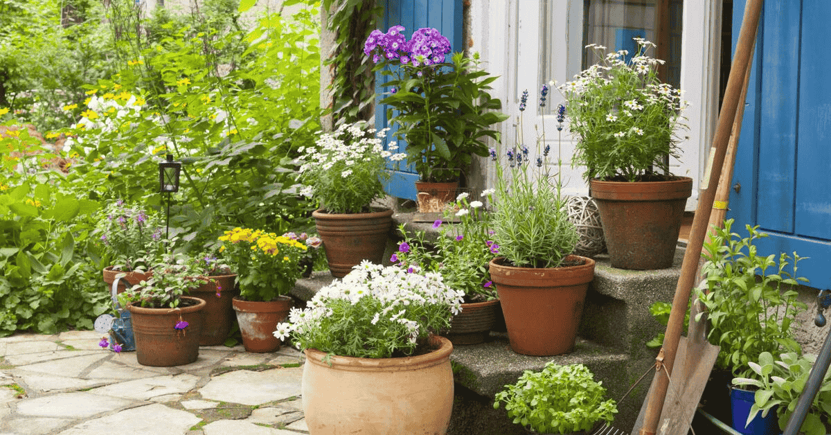 The Best Plants For Container Gardening On Patios