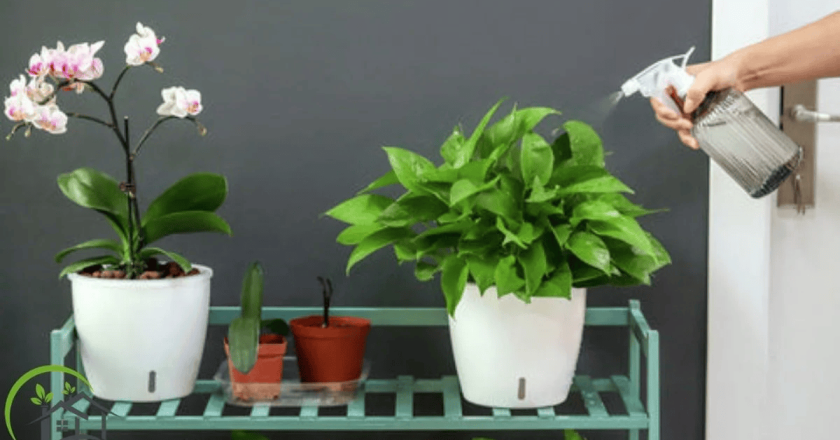 The Truth About Self Watering Pots Do They Really Work