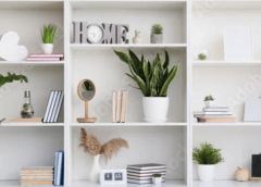 Trailing Plants That Look Stunning On Shelves Bookcases