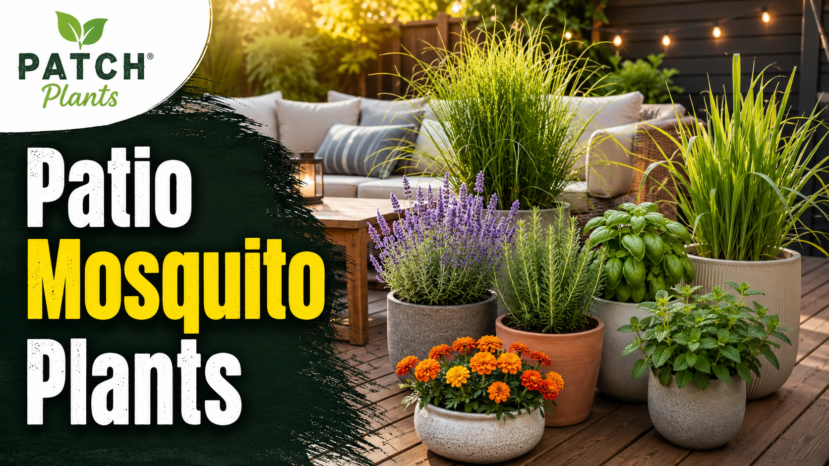 Cozy patio garden with bold branding