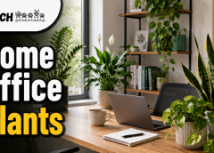Home Office with Plants: 15 Best Proven Ideas