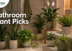 Low Light Plants for Bathroom: 15 Humidity-Loving Picks