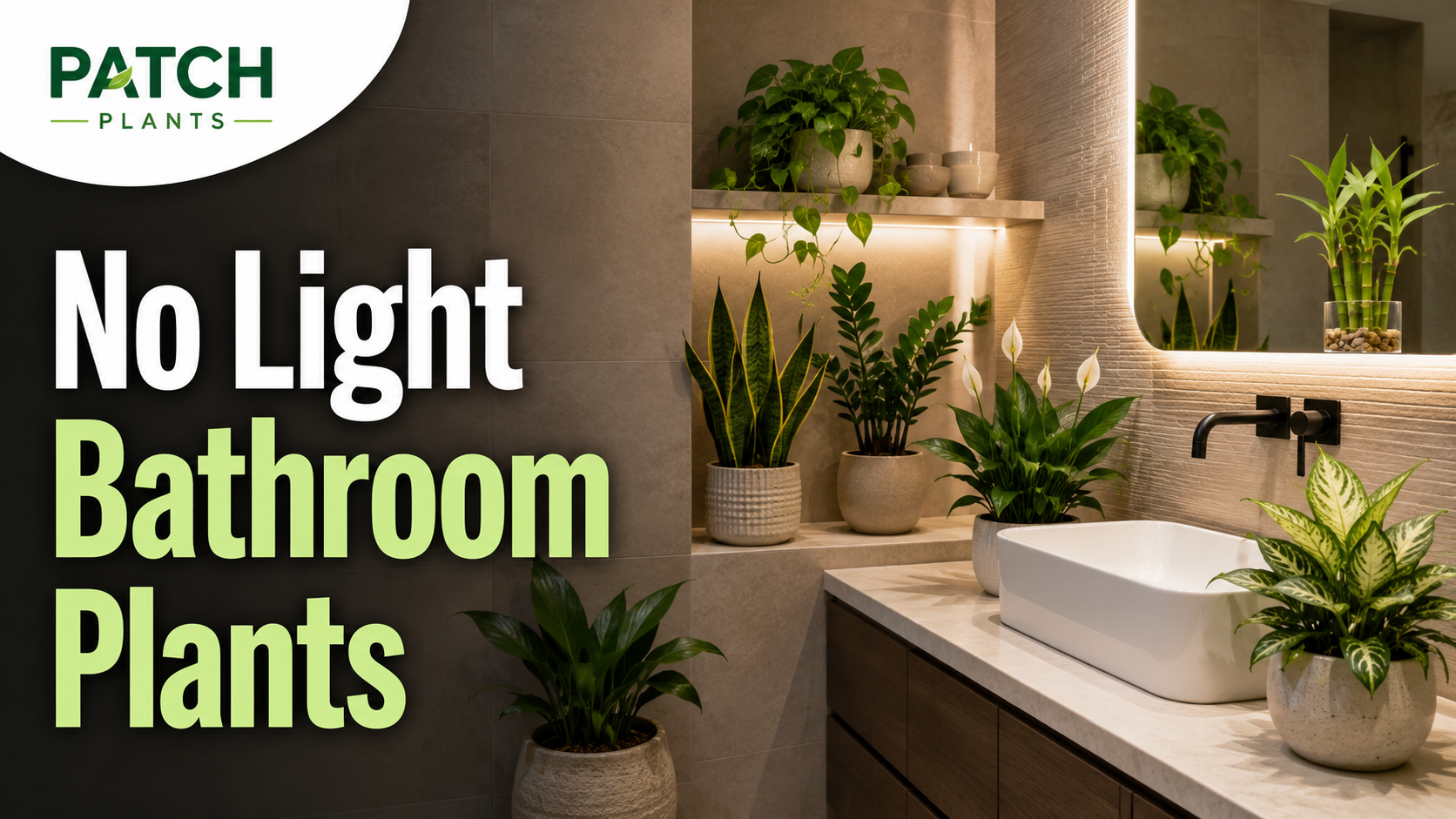 No light bathroom with plants