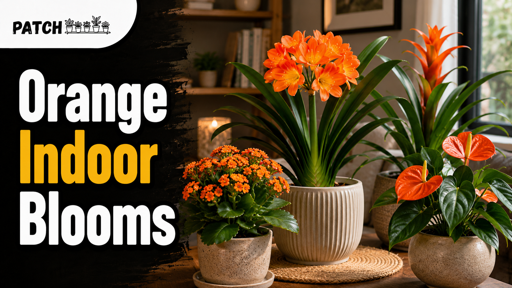 Orange indoor blooms and greenery