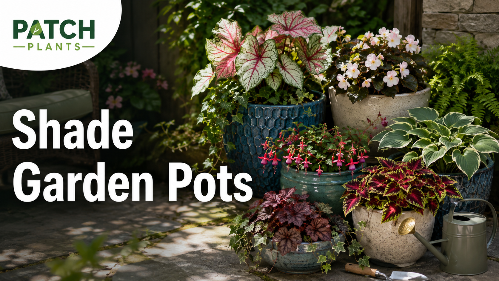 Shade Garden Pots: 17 Plants for Beautiful Containers 1 Shade Garden Pots: 17 Plants for Beautiful Containers