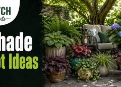 Plants in Pots in Shade: 17 Best Container Ideas