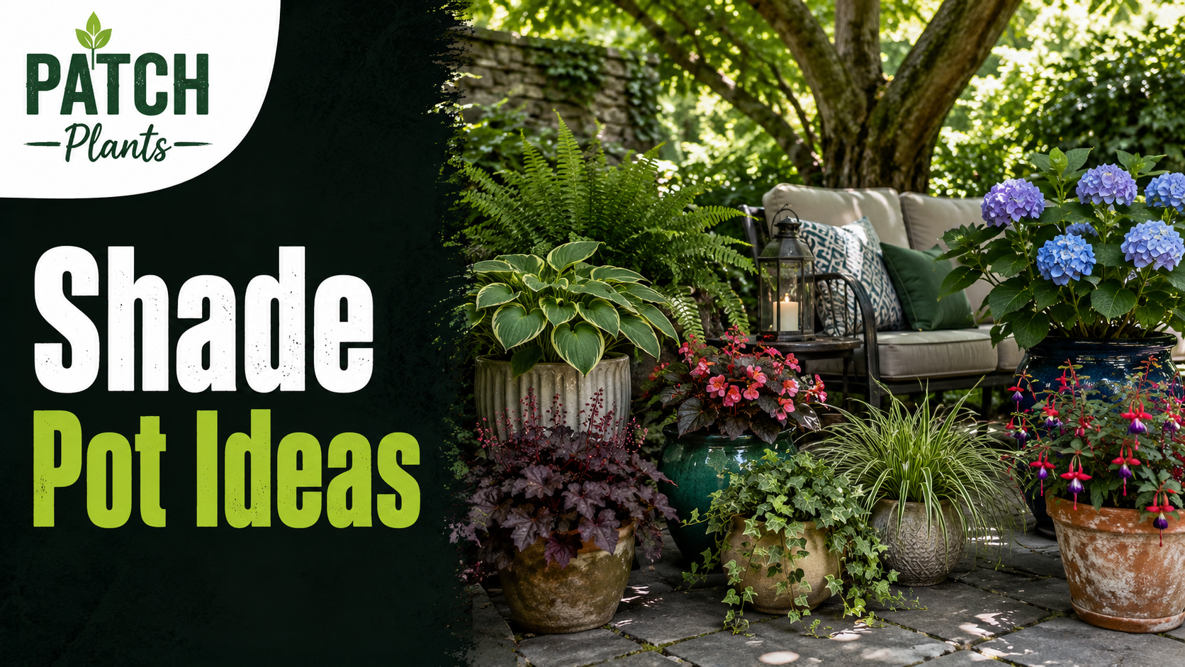 Shade pot ideas for cozy patios