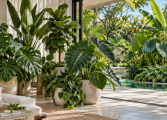 17 Big-Leaf Plants for a Bold Indoor & Outdoor Display